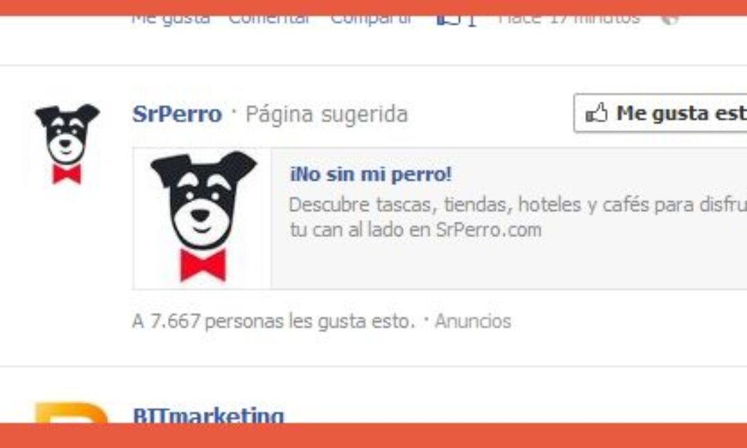 pagina sugerida fb