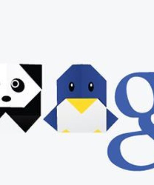 algoritmos-google-zoo