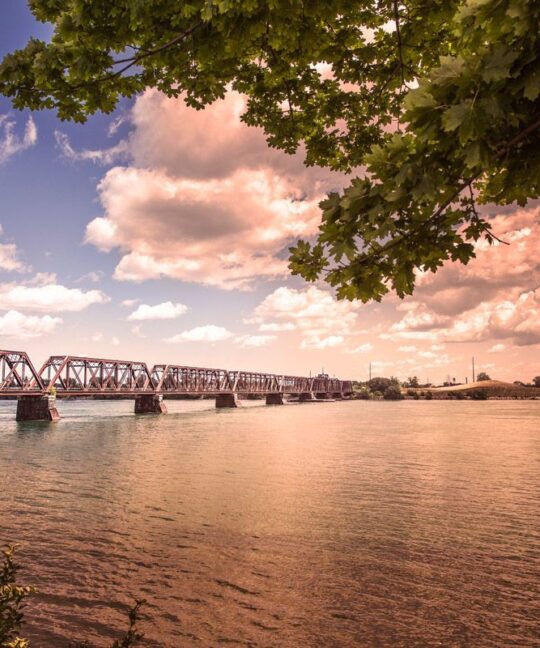 bridge
